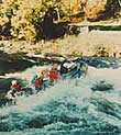 Picture of whitewater rafters